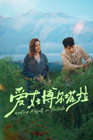 Tình Yêu Ở Bortala